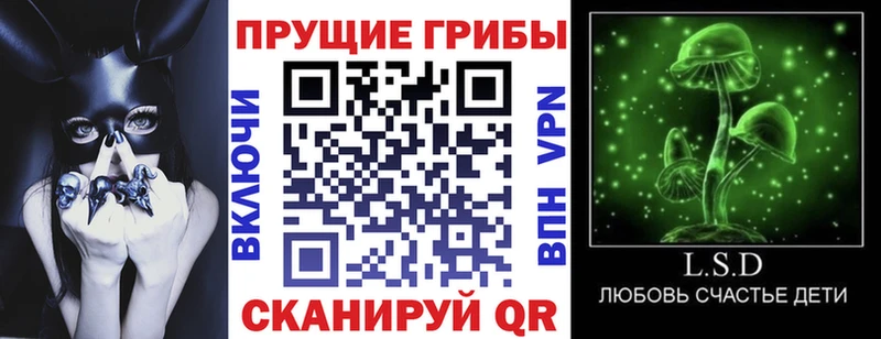 Псилоцибиновые грибы MAGIC MUSHROOMS Лысьва